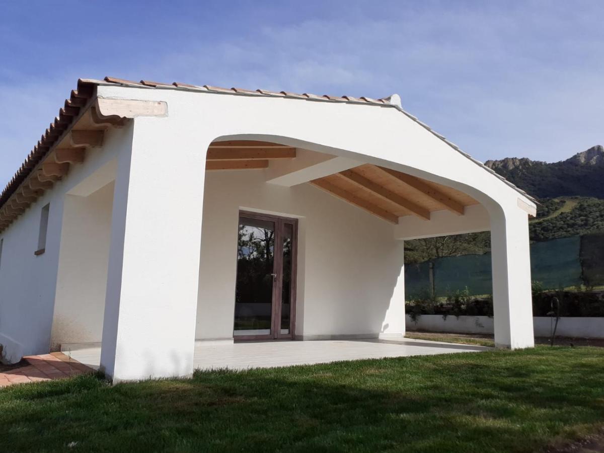 Sardama B&B Affittacamere Torpè Zewnętrze zdjęcie