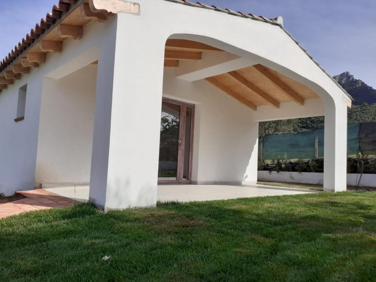 Sardama B&B Affittacamere Torpè Zewnętrze zdjęcie