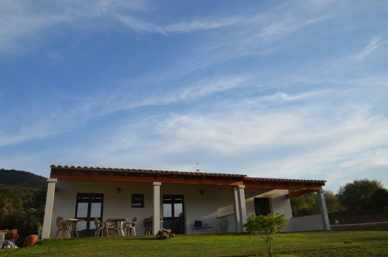 Sardama B&B Affittacamere Torpè Zewnętrze zdjęcie